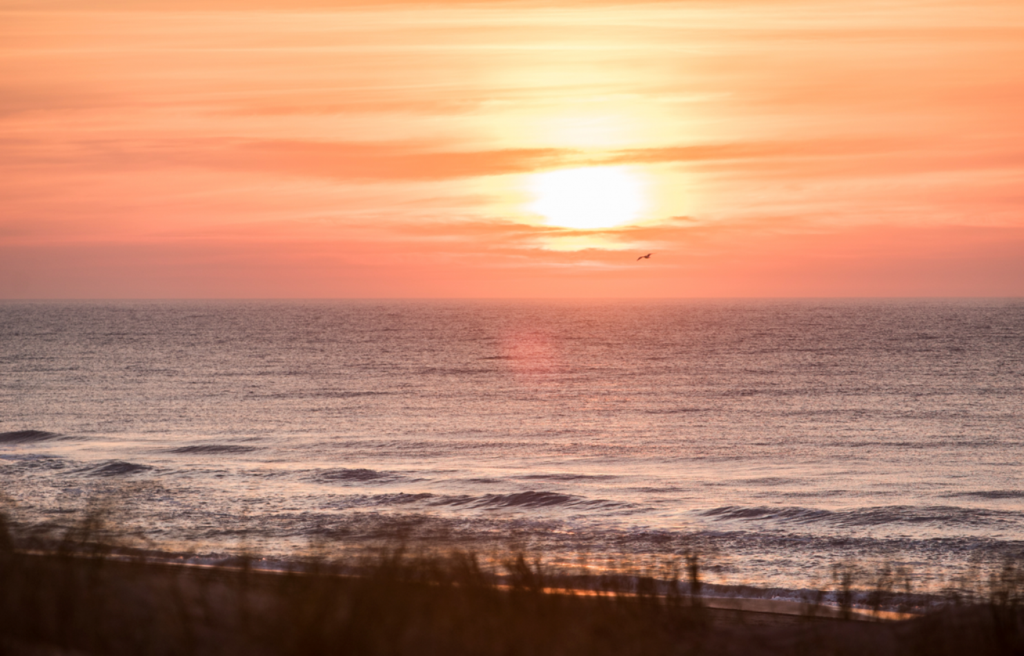 LOTE EN VENTA EN PINAMAR NORTE - ENTORNO RESIDENCIAL Y ZONA TRANQUILA