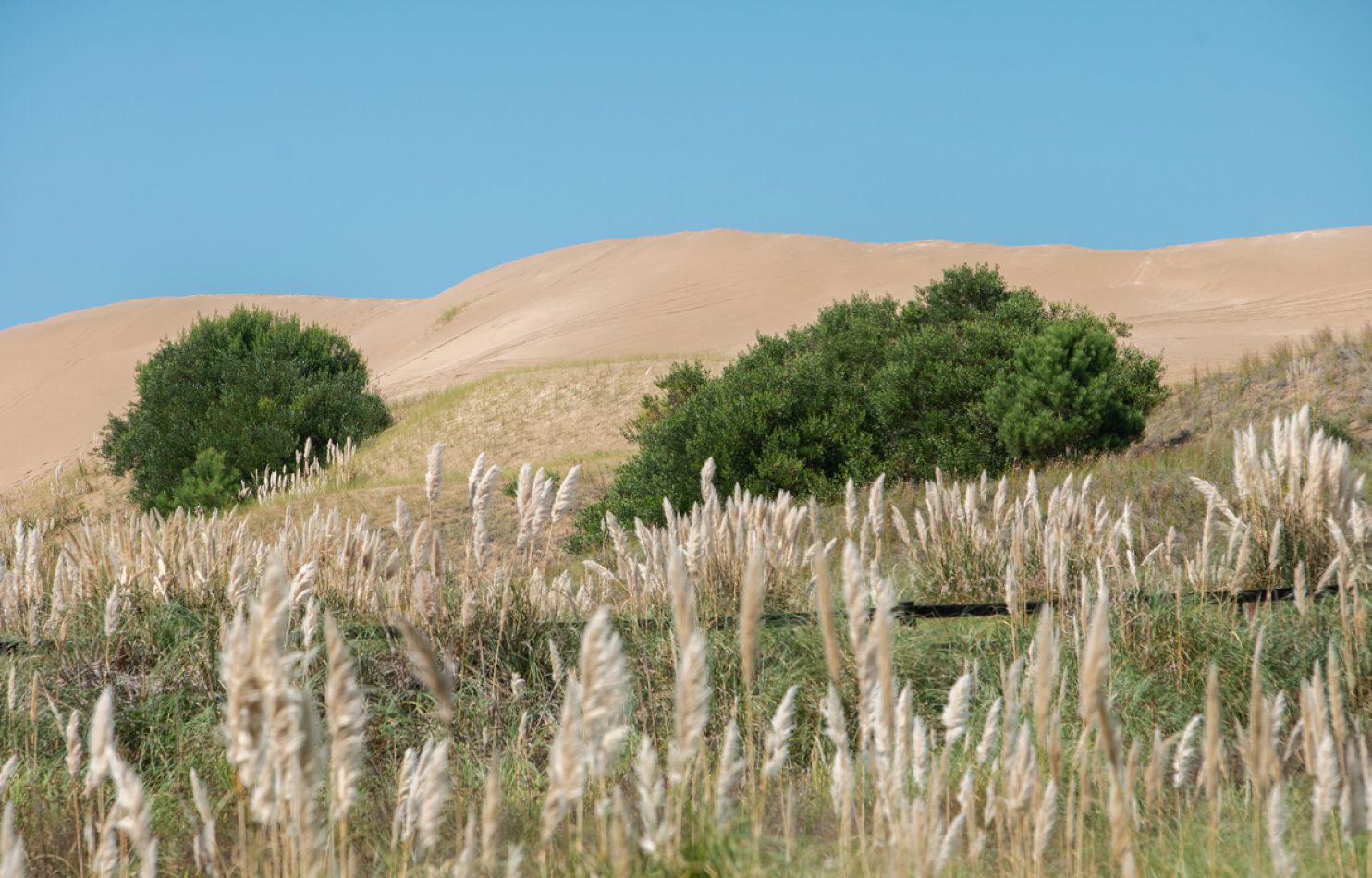 Lote en Venta Costa Esmeralda