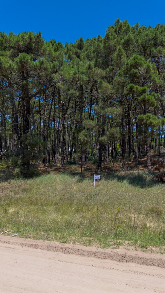 VENTA LOTE PINAMAR