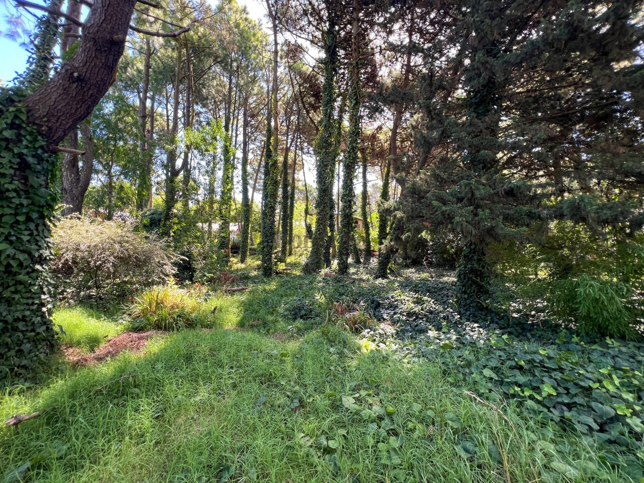 LOTE EN VENTA EN PINAMAR - HESPERIDES, 973 M² EN ZONA RESIDENCIAL CONSOLIDADA