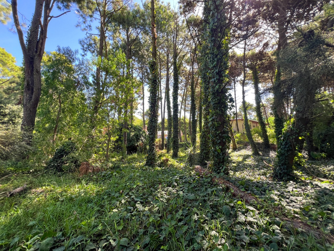 LOTE EN VENTA EN PINAMAR - HESPERIDES, 973 M² EN ZONA RESIDENCIAL CONSOLIDADA