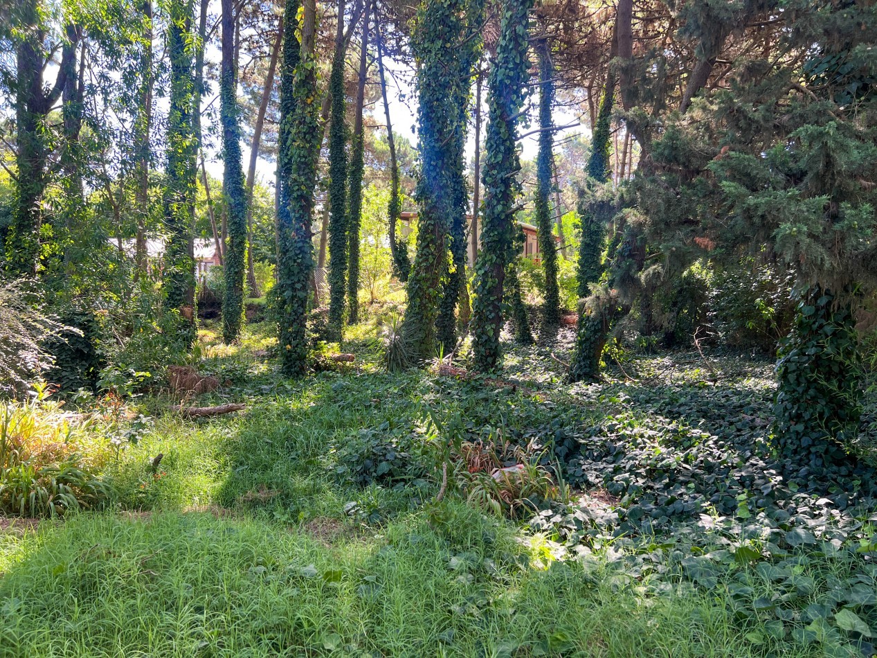 LOTE EN VENTA EN PINAMAR - HESPERIDES, 973 M² EN ZONA RESIDENCIAL CONSOLIDADA