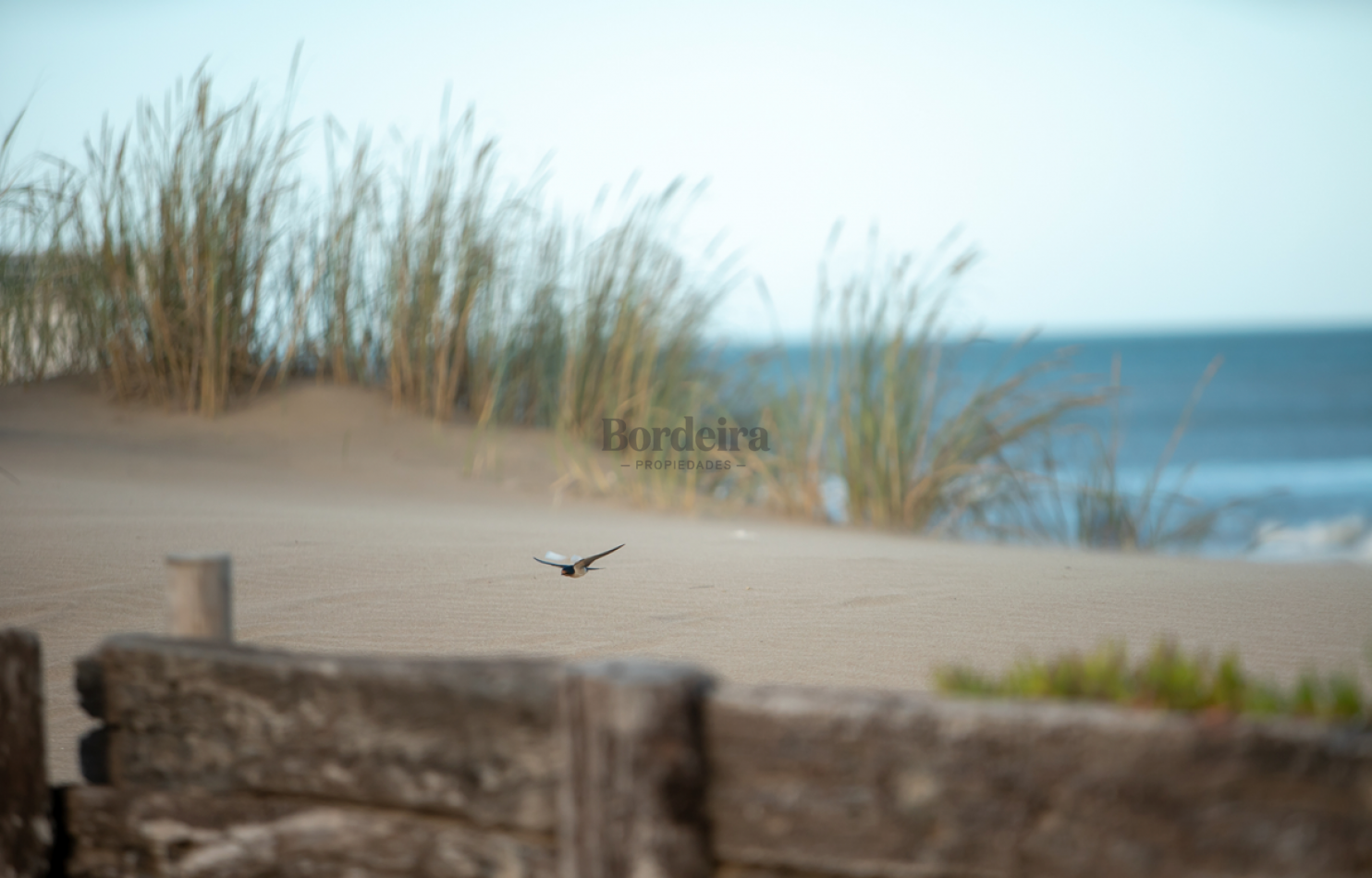 LOTE EN VENTA EN PINAMAR - HESPERIDES, 973 M² EN ZONA RESIDENCIAL CONSOLIDADA