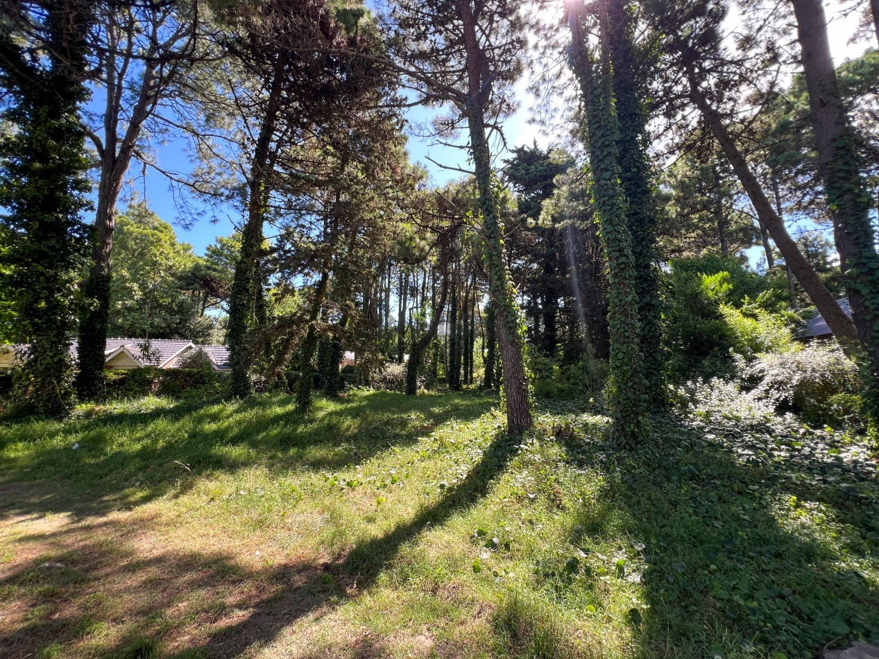 LOTE EN VENTA EN PINAMAR - HESPERIDES, 973 M² EN ZONA RESIDENCIAL CONSOLIDADA