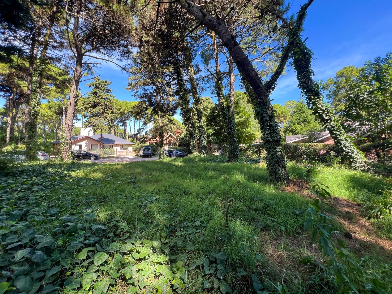 LOTE EN VENTA EN PINAMAR - HESPERIDES, 973 M² EN ZONA RESIDENCIAL CONSOLIDADA