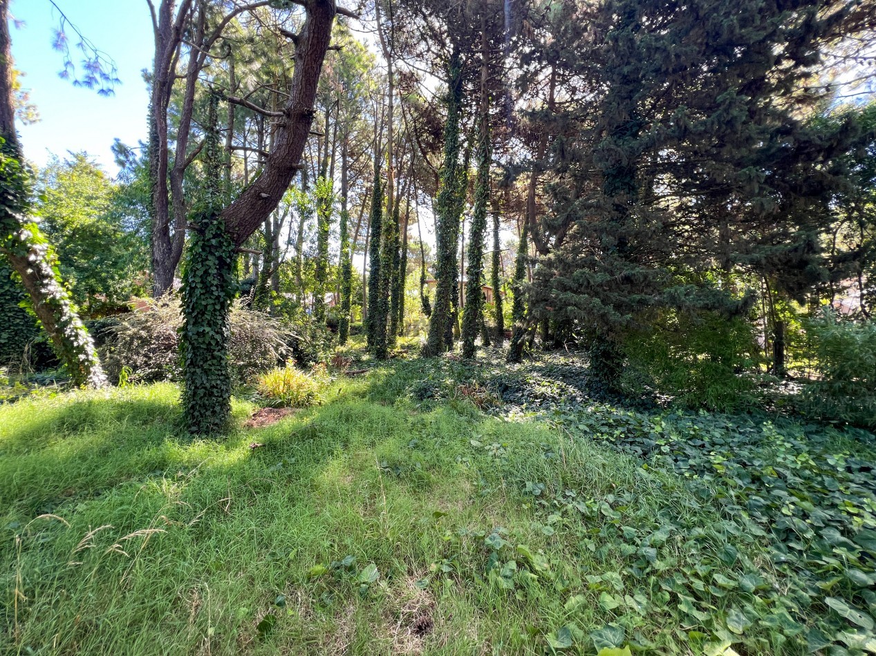 LOTE EN VENTA EN PINAMAR - HESPERIDES, 973 M² EN ZONA RESIDENCIAL CONSOLIDADA