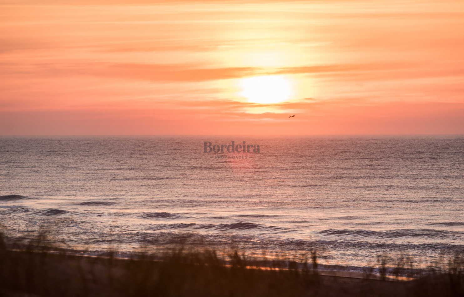 LOTE EN VENTA EN PINAMAR - HESPERIDES, 973 M² EN ZONA RESIDENCIAL CONSOLIDADA