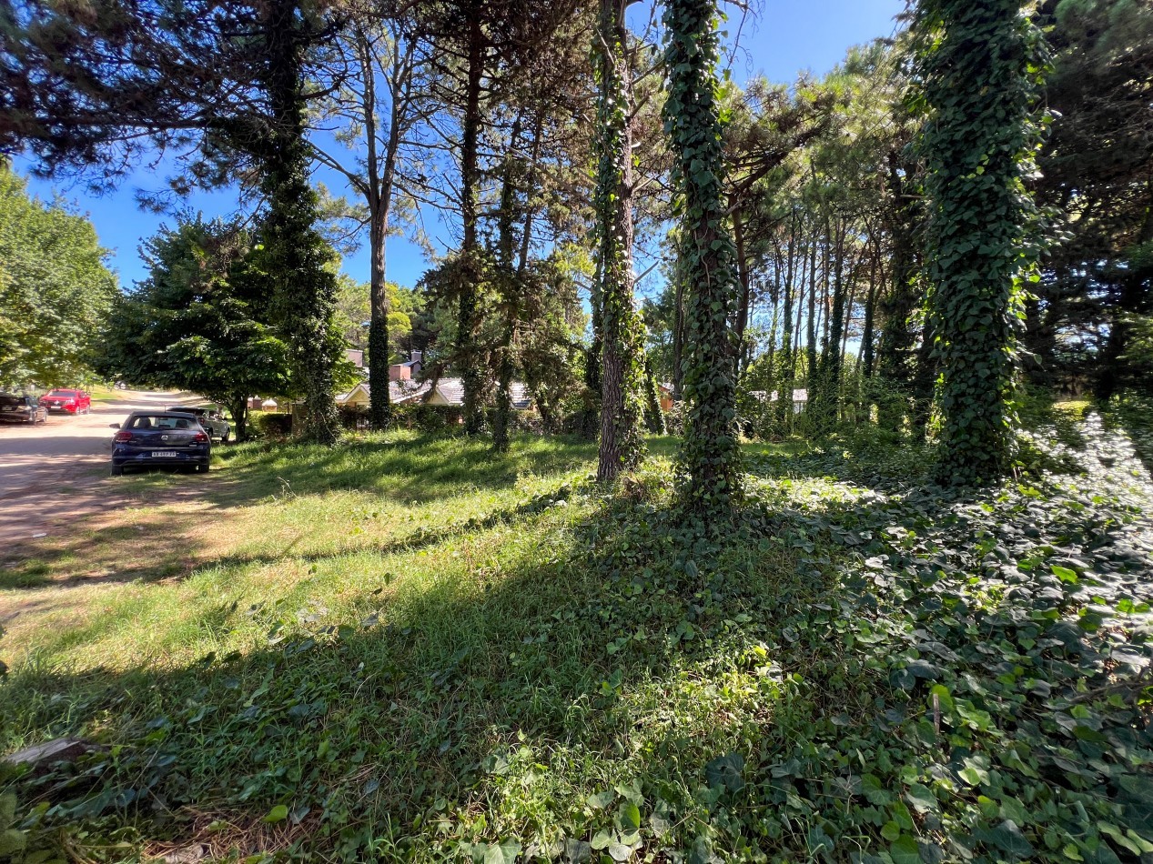 LOTE EN VENTA EN PINAMAR - HESPERIDES, 973 M² EN ZONA RESIDENCIAL CONSOLIDADA