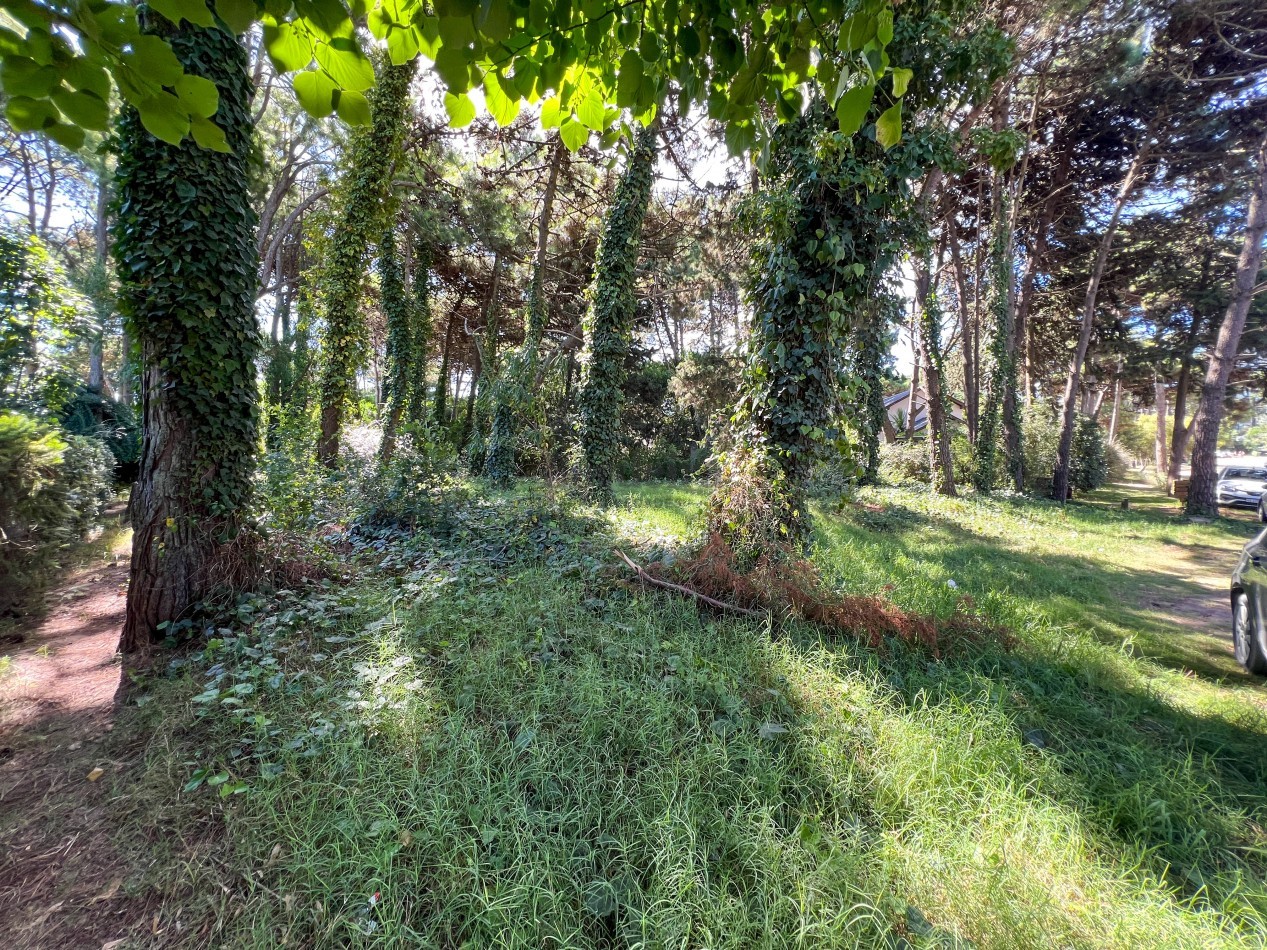 LOTE EN VENTA EN PINAMAR - HESPERIDES, 973 M² EN ZONA RESIDENCIAL CONSOLIDADA