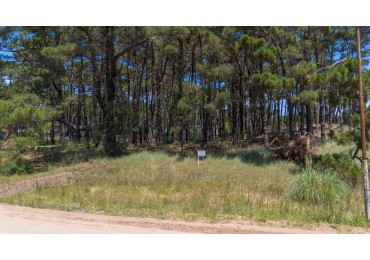 VENTA LOTE PINAMAR